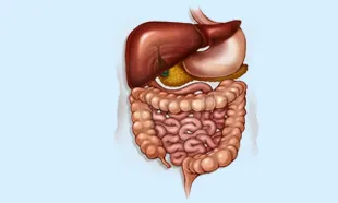 Gastroenterologist